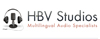 HBV logo